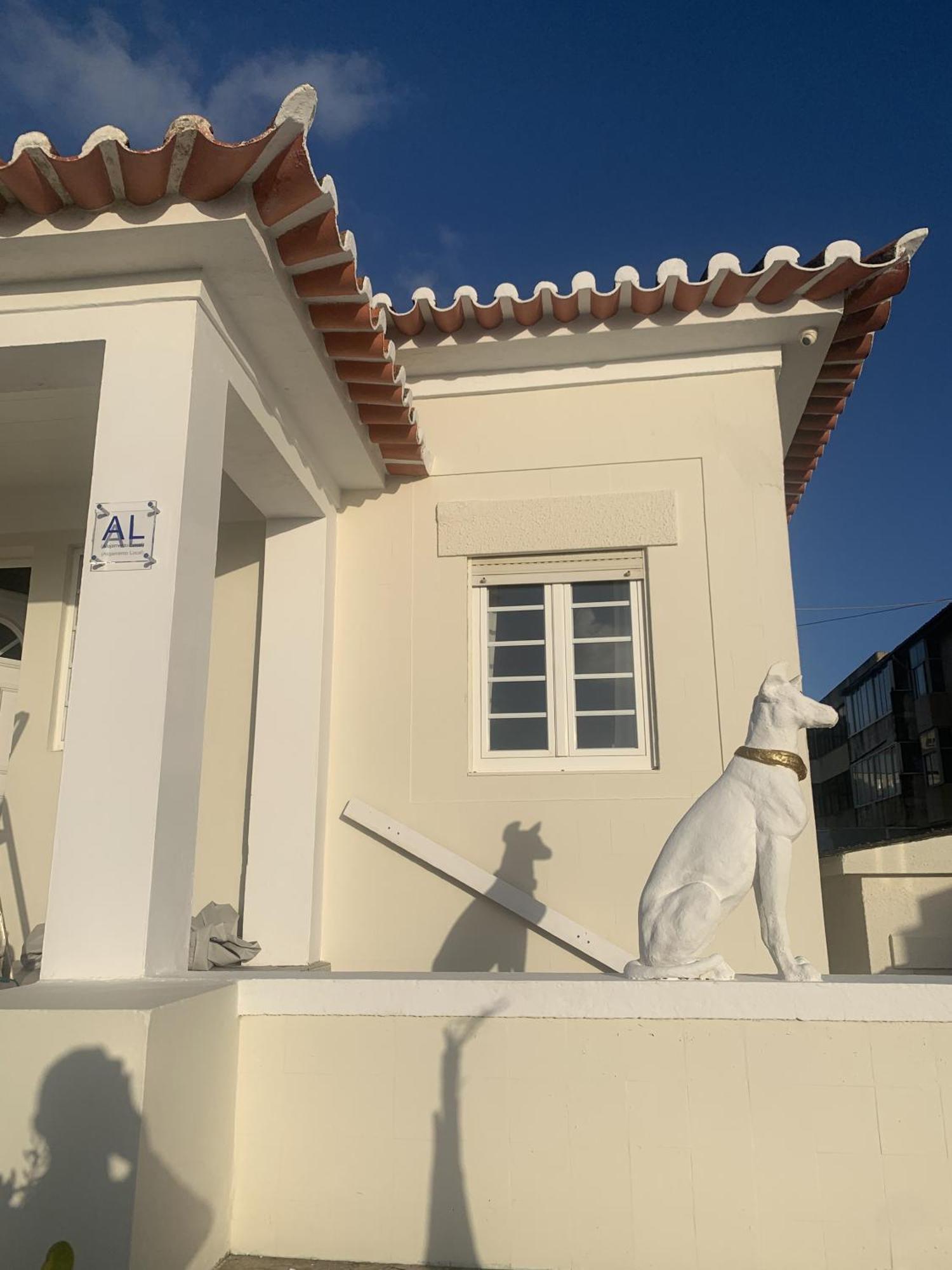 Casa Do Cao Da Praia Do Furadouro Ovar Exteriér fotografie